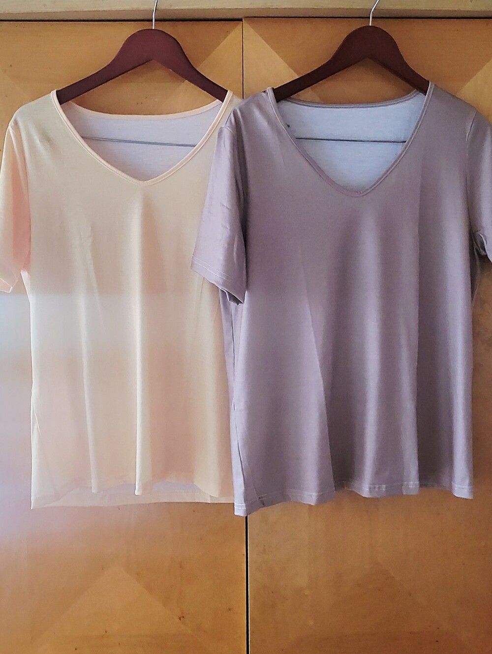 2 pc V-Neck Top